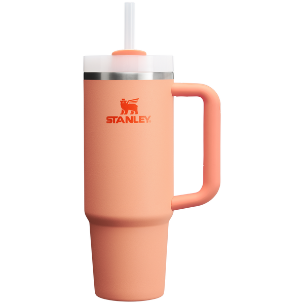 The Quencher H20 Flowstate Tumbler  30 OZ